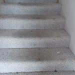 carpeted stairs before